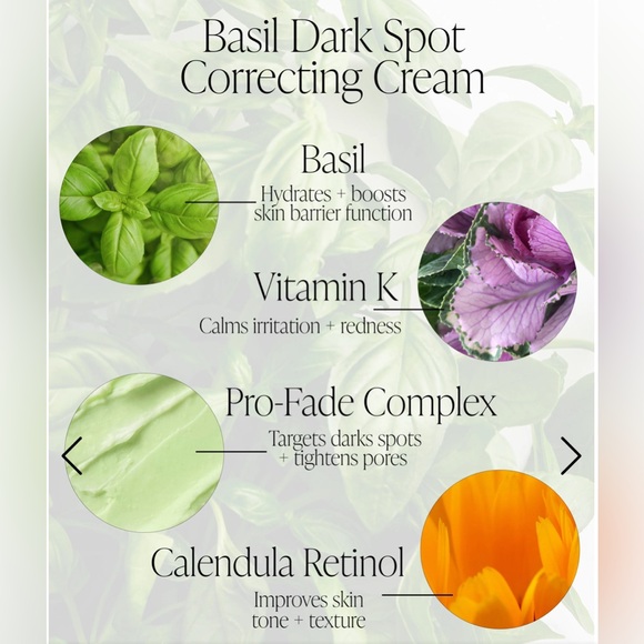 Byroe Basil Dark Spot Correcting Cream - Picture 3 of 11